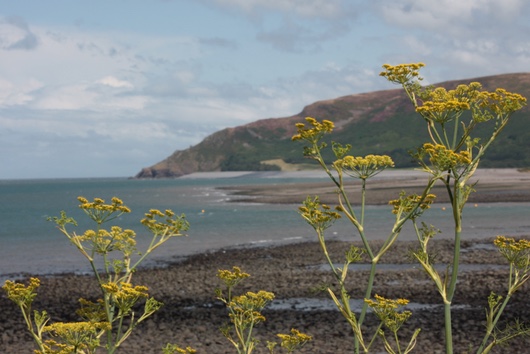 Porlock